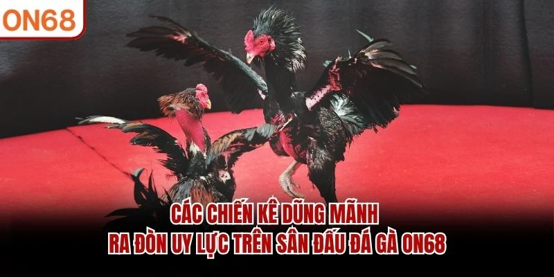 Các chiến kê dũng mãnh ra đòn uy lực trên sân đấu đá gà ON68