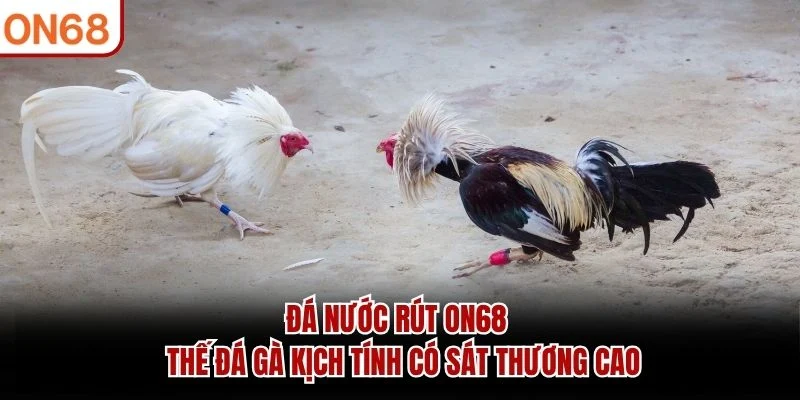 Đá Nước Rút