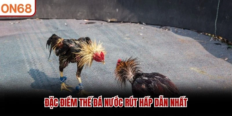 Đặc điểm thế đá nước rút hấp dẫn nhất