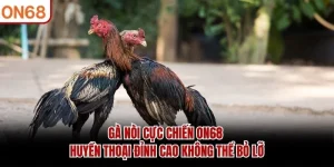Gà Nòi Cực Chiến