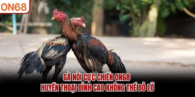 Gà Nòi Cực Chiến