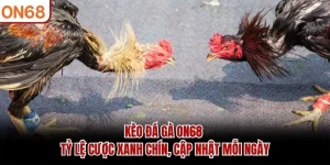 Kèo Đá Gà