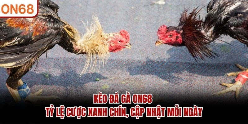 Kèo Đá Gà