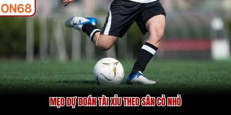 Mẹo dự đoán tài xỉu theo "Sân cỏ nhỏ"