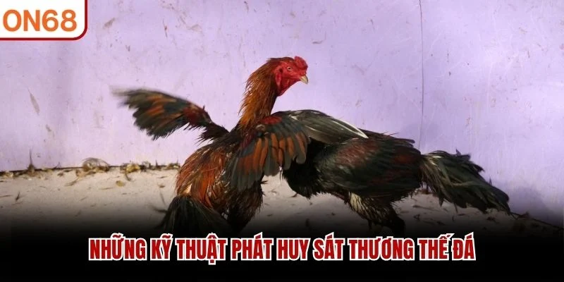 Những kỹ thuật phát huy sát thương thế đá