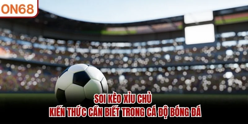 Soi Kèo Xỉu Chủ