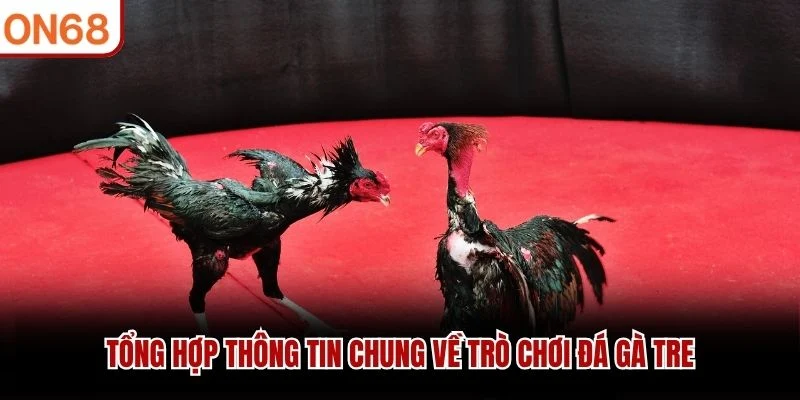 Tổng hợp thông tin chung về trò chơi đá gà tre