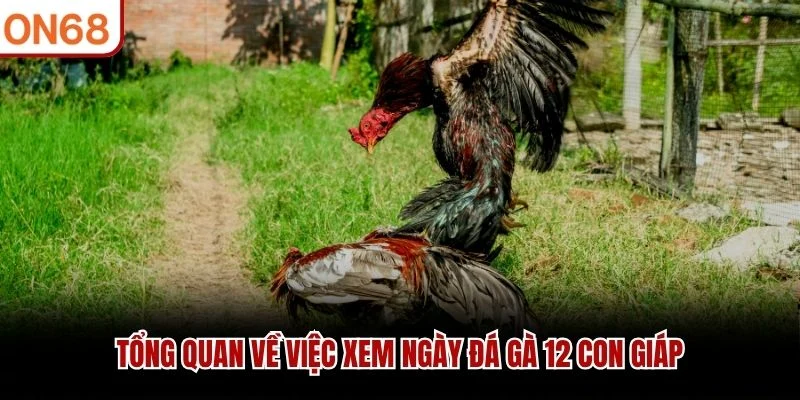 Tổng quan về việc xem ngày đá gà 12 con giáp
